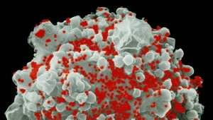 Nowe przeciwciało neutralizuje wirus HIV. Wyjątkowe odkrycie naukowców