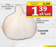 Czosnek