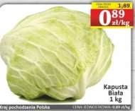 Kapusta biała