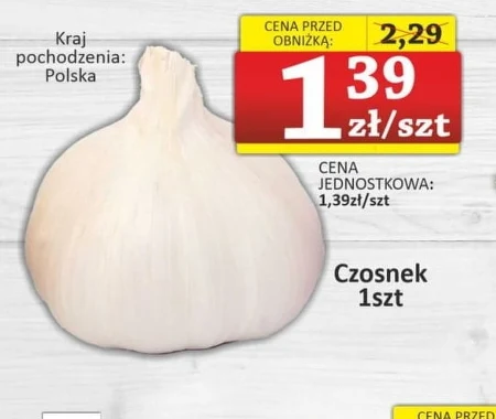 Czosnek