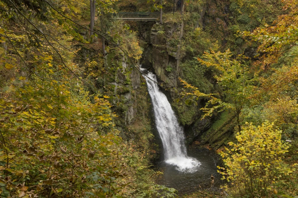 Wodospad Wilczki ma aż 22 metry wysokości i jest jedną z największych tego typu atrakcji w Sudetach Wodospad otoczony gęstą, kolorową roślinnością leśną podczas jesieni, w tle widoczny mostek przecinający wąwóz ponad skałami.
