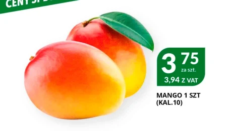 Mango