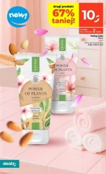 Wróżymy niskie ceny! - Dealz