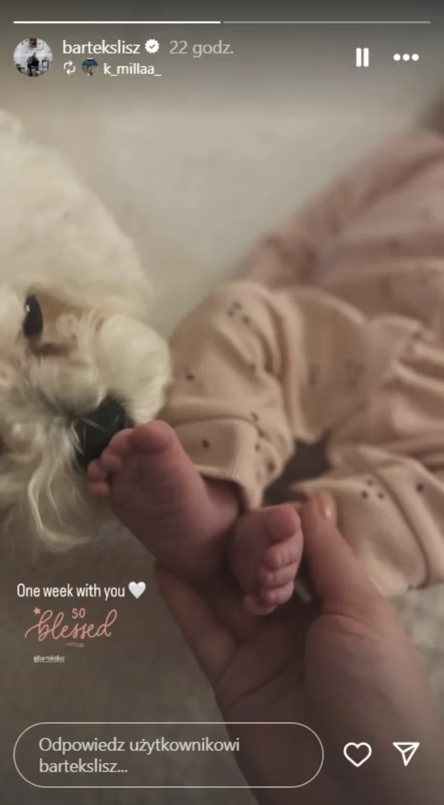 Bartosz Slisz został ojcem Biała puchata głowa psa delikatnie dotykająca stopę niemowlęcia ubranego w jasny śpioszek, trzymaną przez dorosłą dłoń, na rozmytym tle.