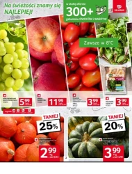 Idealny wybór dla oszczędnych! - Selgros
