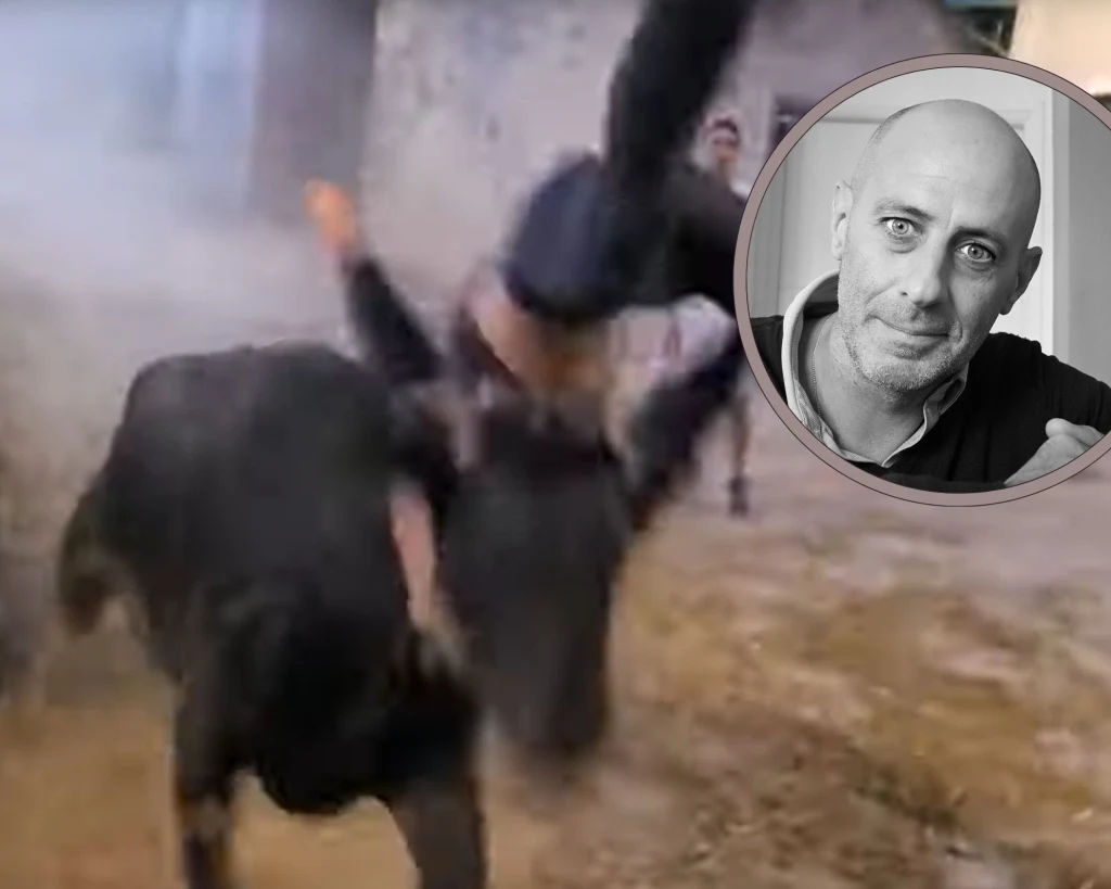 Festiwal gonitwy byków we Francji. W ramce Guillaume Di Grazia Festiwal gonitwy byków we Francji. W ramce Guillaume Di Grazia