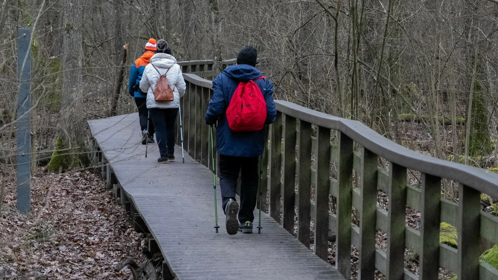 Zmiana klimatu uderza w Kampinoski Park Narodowy