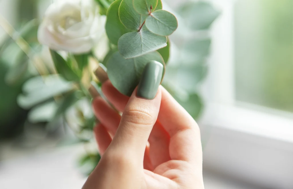 Dłoń z zielonym lakierem na paznokciach trzymająca liść eukaliptusa, w tle widoczny rozmyty biały kwiat i jasne okno.