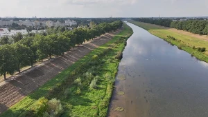 Aplikacja kontra powódź. Zaskakujący pomysł Polaków