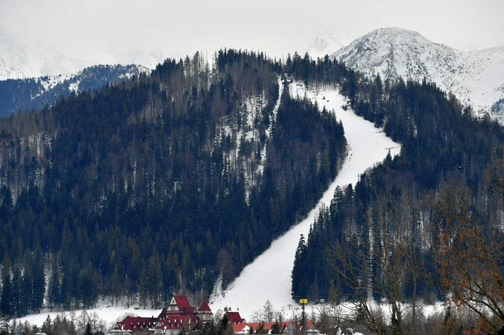 Leśne zbocze góry pokryte śniegiem z wyraźnie widoczną, ośnieżoną trasą narciarską prowadzącą w dół oraz zabudowaniami z czerwonymi dachami u stóp stoków.
