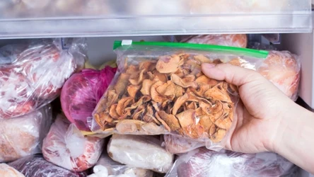 Jak mrozić grzyby? Tak zachowują smak, aromat i jędrność