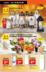 Jesienne okazje na każdy dzień – Biedronka