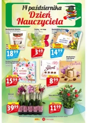 Świeżo i tanio na jesienny stół – Prim Market