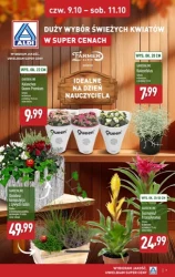 Złota jesień z niskimi cenami - Aldi