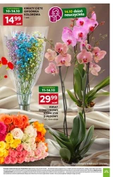 Promocje tygodnia -Stokrotka Market