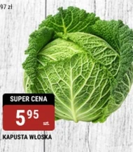 Капуста