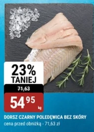 Чорна бузина