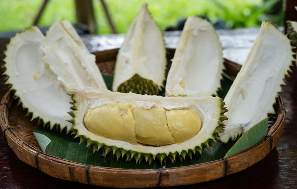 Świeżo rozkrojony durian o żółtym, kremowym miąższu, ułożony na bambusowej tacy wyłożonej zielonymi liśćmi, z widocznymi kolczastymi fragmentami skórki.