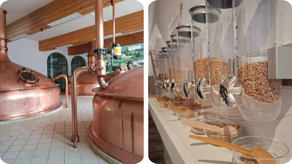 Miedziane kadzie warzelnicze w pomieszczeniu browaru obok przezroczystych pojemników z ziarnem, wyposażonych w dozowniki i miarki.