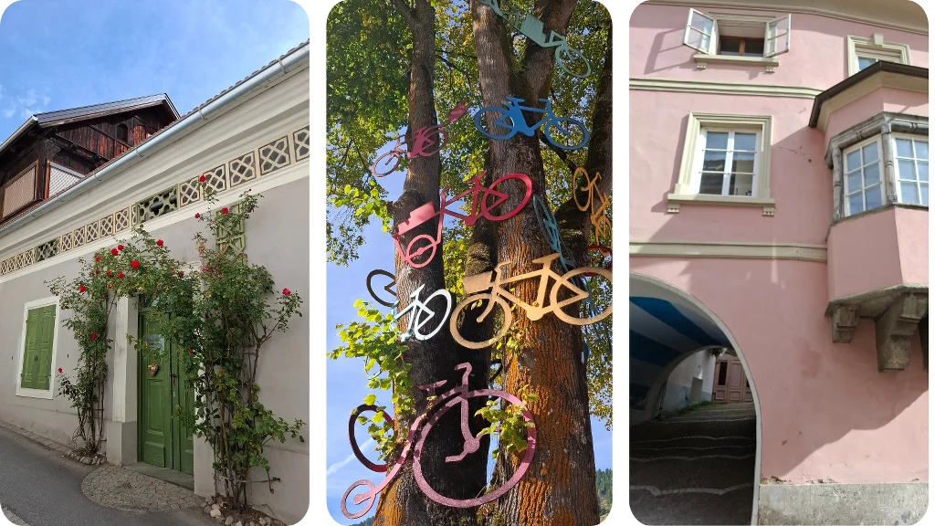 Zielone drzwi oraz ściana budynku porośnięte różami, kolorowe dekoracyjne rowery zawieszone na drzewie oraz różowa kamienica z oknami i łukowym przejściem.