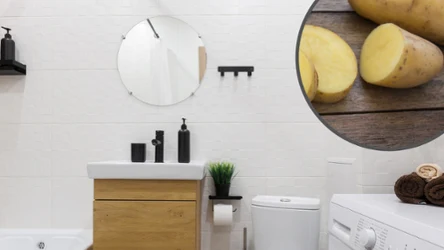 Dlaczego warto położyć ziemniaka w łazience?