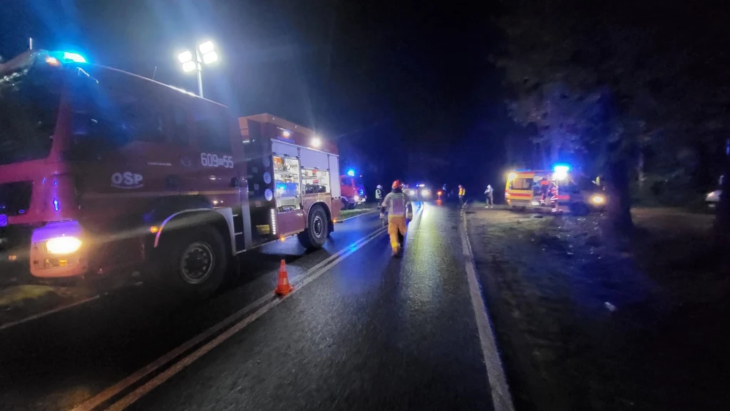 Wypadek na DW296 w woj. dolnośląskim. Kierująca nie żyje