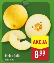 Melon