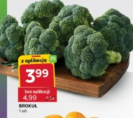 Brokuł