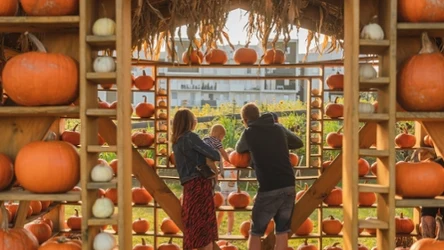 10 października w Gliwicach startuje Dyniowe Miasteczko