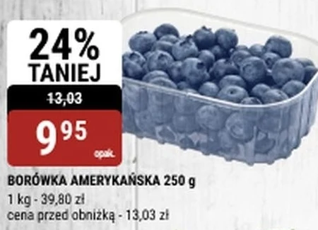 Borówka amerykańska