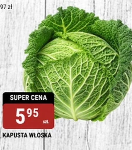 Kapusta