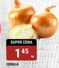 Cebula
