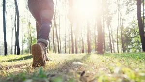 Długie spacery to długie życie. Zmniejszają ryzyko chorób i przedwczesnej śmierci