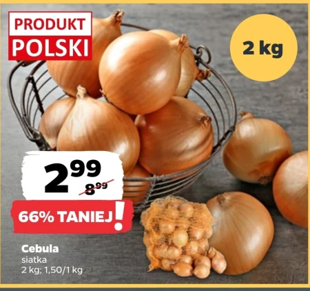 Cebula Polski