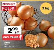 Cebula Polski