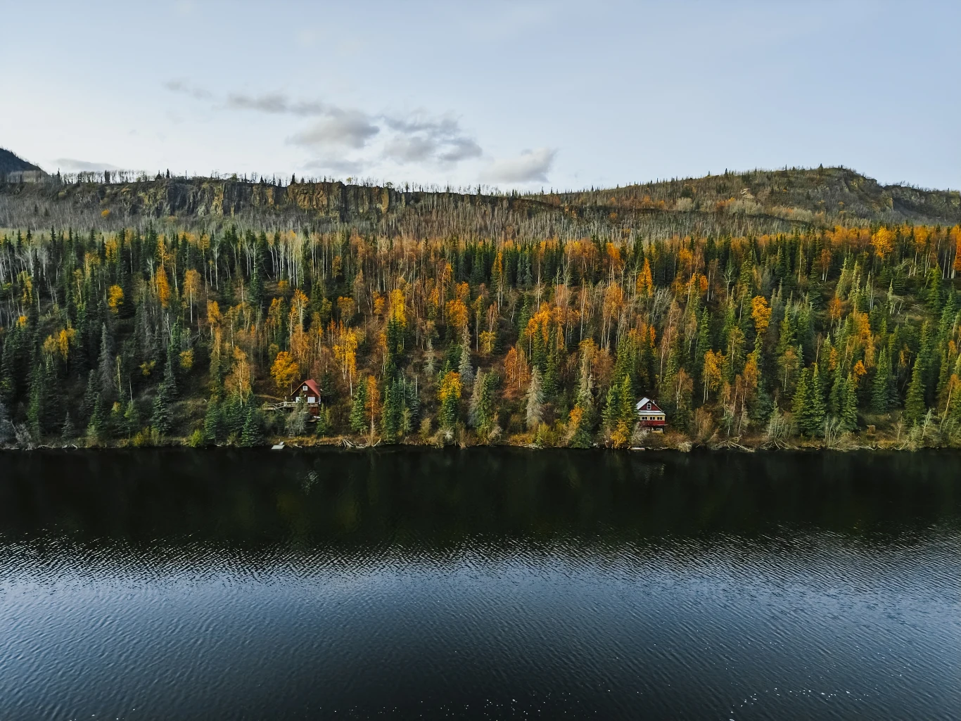 Donald Trump wskrzesza zablokowany w czasie prezydentury Bidena projekt Ambler Road na Alasce. Na zdj. początek alaskańskiej jesieni (zdj. ilustracyjne) Jezioro odbijające niebo, brzegu przylega gęsty kolorowy las z domkami letniskowymi, na tle łagodnych wzgórz.