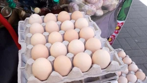 Polska jest drugim największym eksporterem jaj w UE