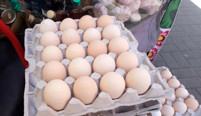 Wielkanoc 2026. Eksperci: Przed świętami nie zabraknie jaj w sklepach