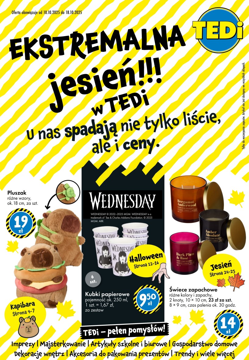 gazetki TEDi