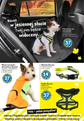 Ekstremalne promocje na jesień – TEDi