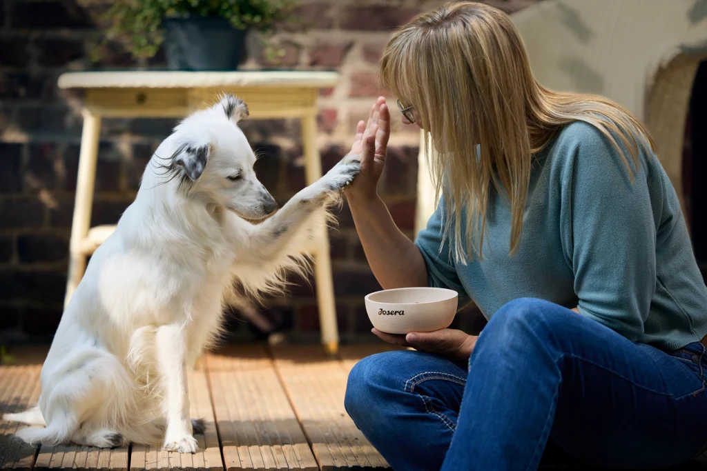 Cierpliwość i konsekwencja to podstawa pracy z psem / fot. Nina Wallenborn dla marki Josera