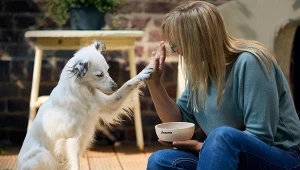 Cierpliwość i konsekwencja to podstawa pracy z psem / fot. Nina Wallenborn dla marki Josera