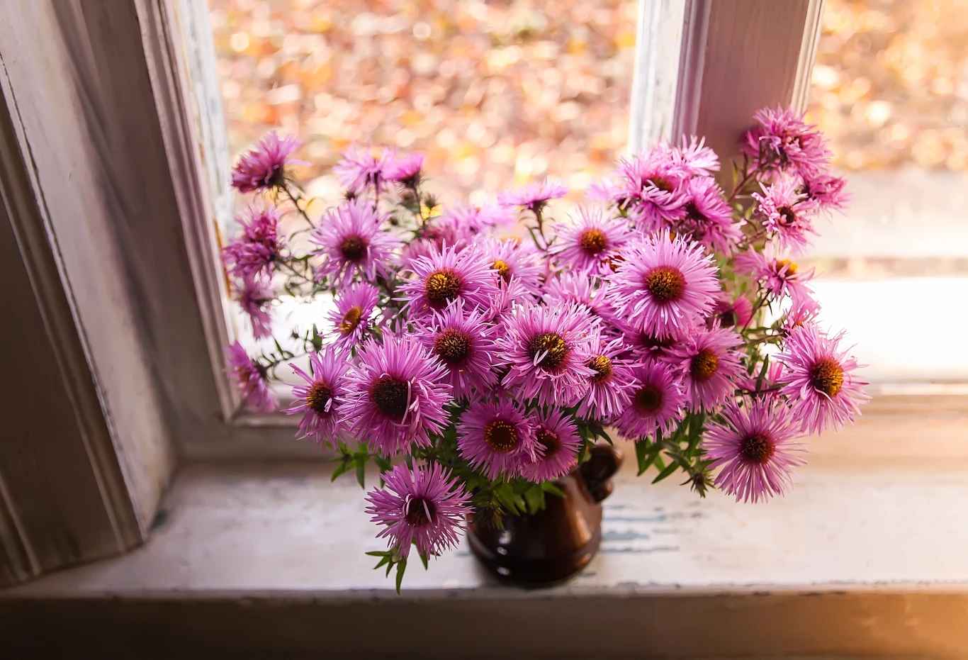 Dodaj domową odżywkę do wody, a chryzantemy będą świeże nawet przez kilka tygodni 