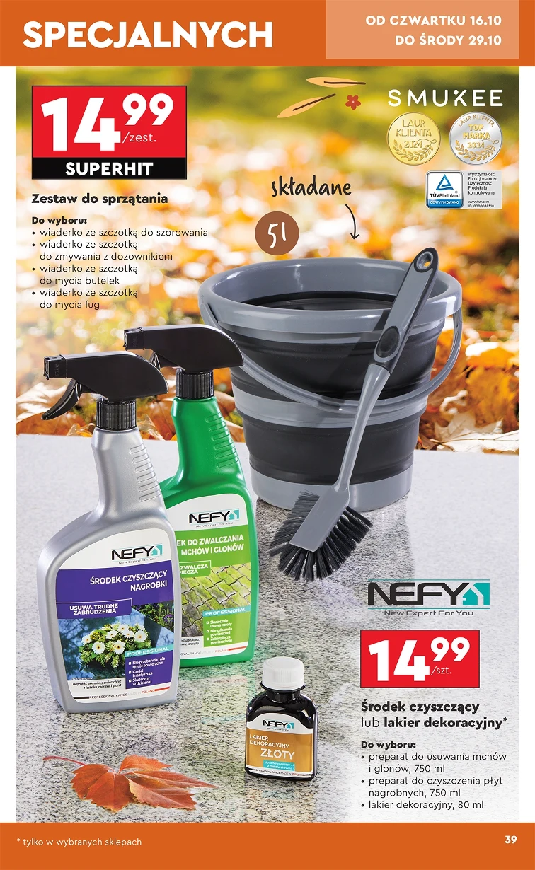 leaflet page preview image