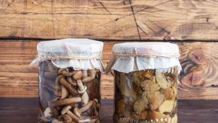 Zrób grzyby po podhalańsku, czyli w maśle. 