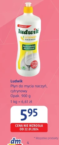 Засіб для миття посуду Ludwik