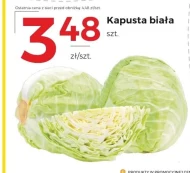 Kapusta biała