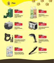 Czas złotych promocji! - Kakadu