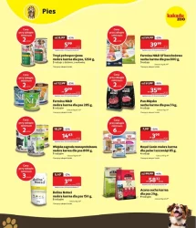 Czas złotych promocji! - Kakadu