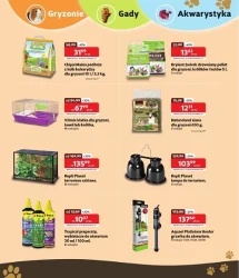 Czas złotych promocji! - Kakadu
